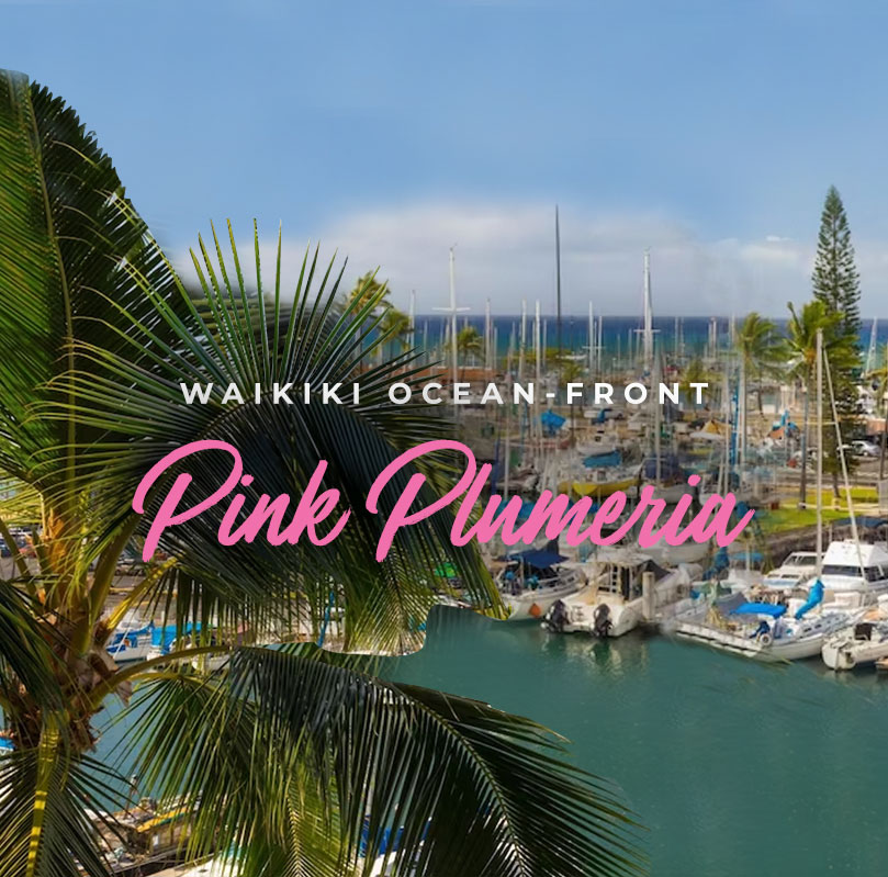 Waikiki Ocean-Front Pink Plumeria